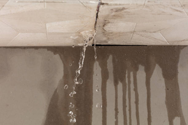 Professional Sewage Cleanup technician working in Weston, MA